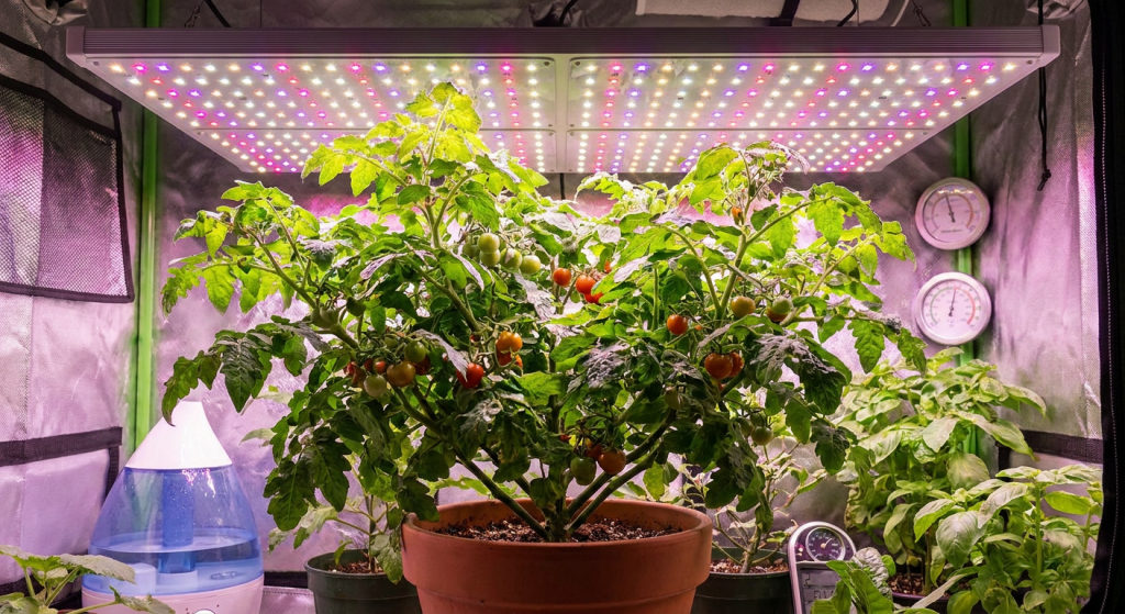 nano-banana-1778836558576.png